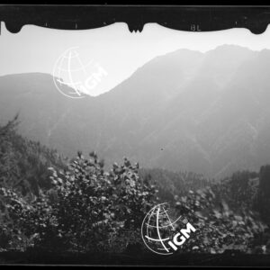 Staz. 1 - Bellunese - Cime di San Sebastiano - - LN00017229