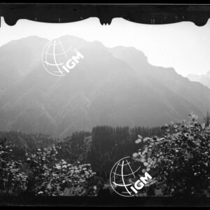 Staz. 1 - Bellunese - Cime di San Sebastiano - - LN00017230