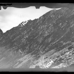 Staz. 12 - Bellunese - Pieve D'Alpago - - LN00017316