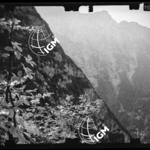 Staz. 15 - Bellunese - Pieve D'Alpago - - LN00017323