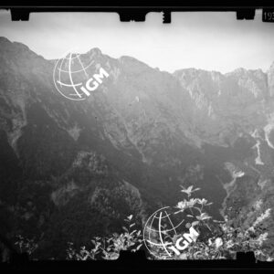 Staz. 15 - Bellunese - Pieve D'Alpago - - LN00017324