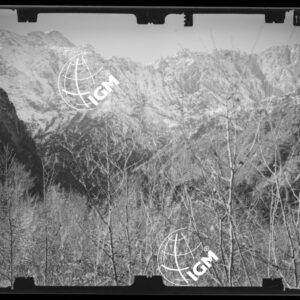 Staz. 17 - Bellunese - Pieve D'Alpago - - LN00017331