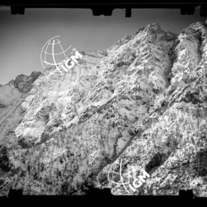 Staz. 16 - Bellunese - Pieve D'Alpago - - LN00017334