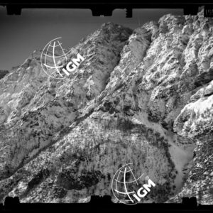 Staz. 16 - Bellunese - Pieve D'Alpago - - LN00017339