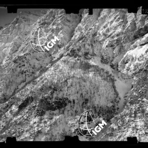 Staz. 16 - Bellunese - Pieve D'Alpago - - LN00017341