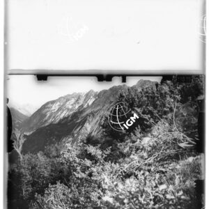 Staz. 18 - Chiusaforte - - LD00000322
