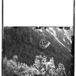 Staz. 33 - Chiusaforte - - LD00000376