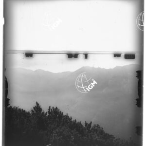 Staz. 3 - Uccea - - LD00000397