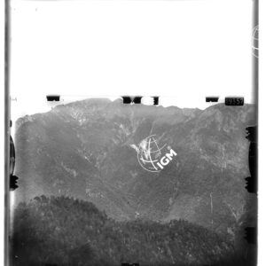 Staz. 5 - Uccea - - LD00000431