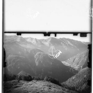 Staz. 11 - Uccea - - LD00000454