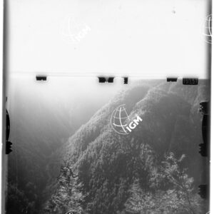 Staz. 13 - Uccea - - LD00000462