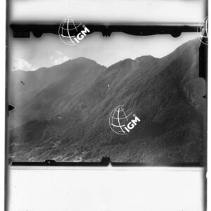 Staz. 9 - Tolmezzo - - LD00000557