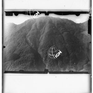 Staz. 9 - Tolmezzo - - LD00000558