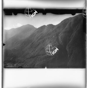 Staz. 9 - Tolmezzo - - LD00000560