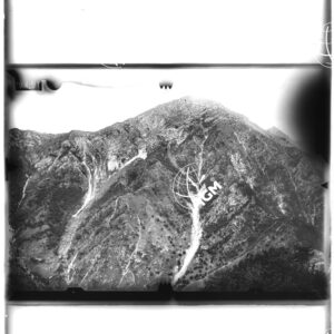 Staz. 11 - Tolmezzo - - LD00000568