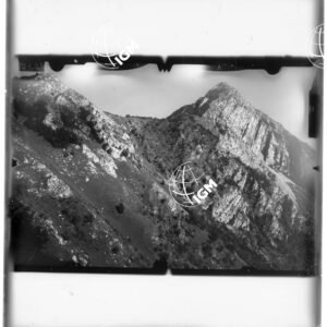 Staz. 13 - Tolmezzo - - LD00000575