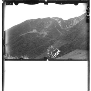 Staz. 18 - Tolmezzo - - LD00000595