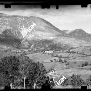 Staz. 13 - Marche - Monti Sibillini - Costa di Monte Zampa - - LN00017440