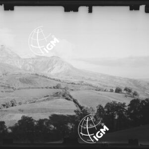 Staz. 13 - Marche - Monti Sibillini - Costa di Monte Zampa - - LN00017441