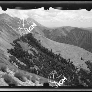 Staz. 3 - Marche - Monti Sibillini - Monti della Prata - - LN00017598
