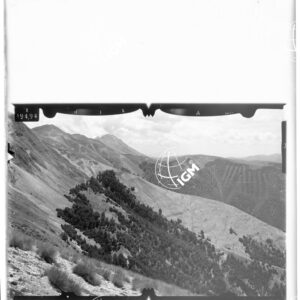 Staz. 3 - Marche - Monti Sibillini - Monti della Prata - - LD00000820