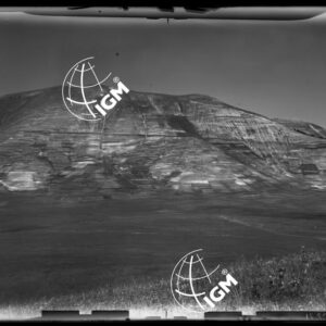 Staz. 3 - Marche - Monti Sibillini - Monte Lieto - - LN00017739