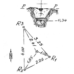 003007 - CIMA SPARVIERI