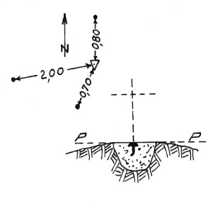 004047 - CIMA DEL LAGO TORBO