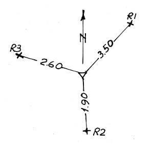 009209 - GRUGNO DI PORCO
