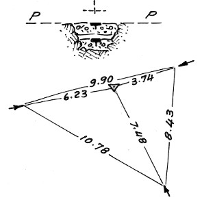 010056 - CIMA OMETTO