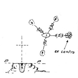 010088 - GROSSE REISCH