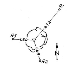 012195 - CASTELLATO DI SETTA