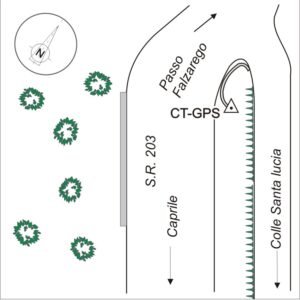 012714 - RUCAVA - S.R. 203 KM 55,985