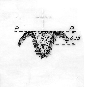 013194 - CIMA CADIN DI TORO