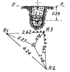 013204 - MONTE CECIDO