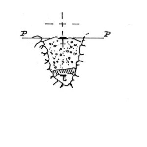 013258 - MONTE PEZZET