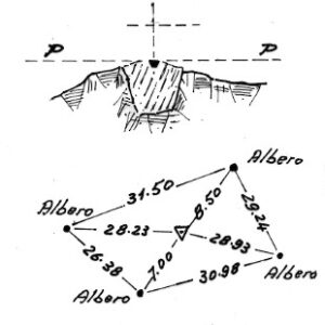 013291 - TABIÀ DELL'ORGANO