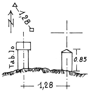 014030 - PIZZO DI TIMAU