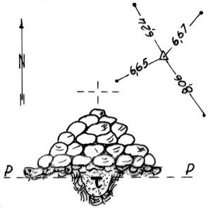 014035 - CIMA DEI LARICI