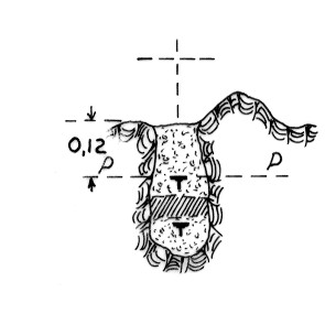 014063 - MONTE SECHIEIZ