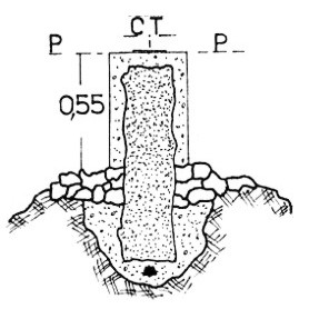 016006 - MONTE GIOVE