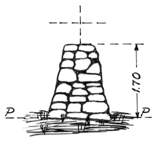 016009 - CIMA MARSICCE