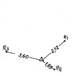 016046 - TESTA DEL MISELLO
