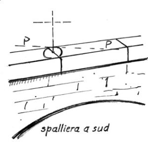 016049 - PONTE RIBELLASCA