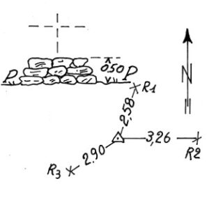 017114 - CIME DI FIORINA NORD