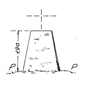 018012 - CORNI BRUCIATI