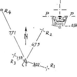 019067 - VETTA SALARSA