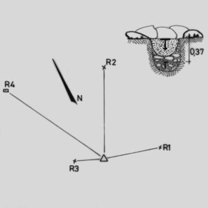 019903 - VETTA SALARSA