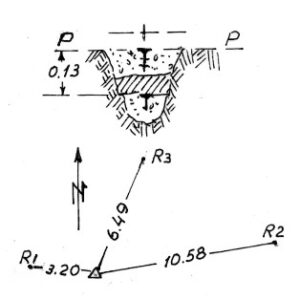 021059 - CORNO DEL CERVO
