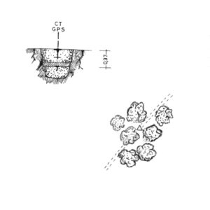 021062 - DOSS DEL PUEL